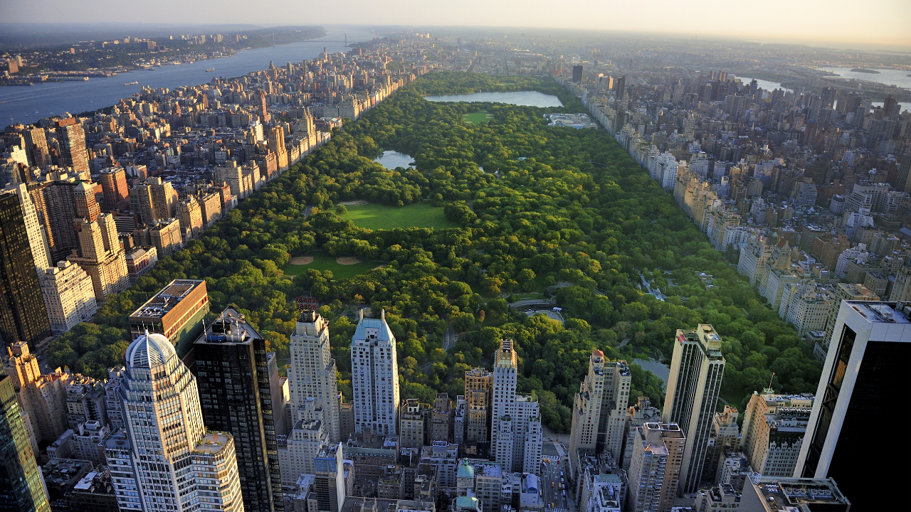 Dispensaries Near Central Park